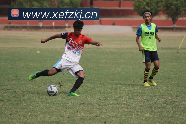 女足荣誉盘点 中国女足历届大赛冠军奖杯与里程碑解读